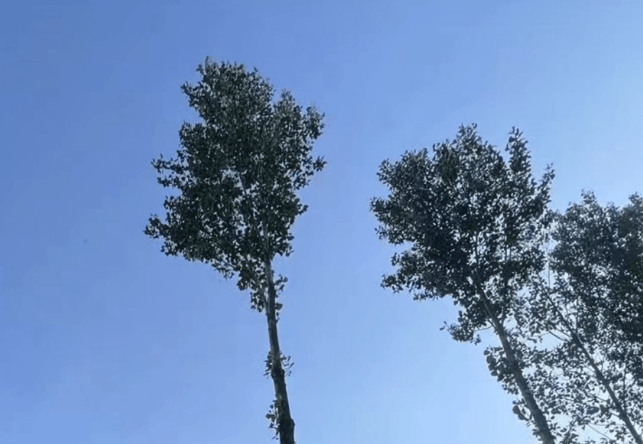 腾讯视频：澳门管家婆一肖一码100精准-探索城市里的生物多样性科普活动走进商圈、学校