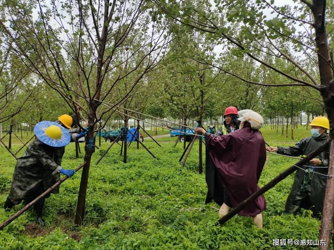 🌸电视家【今期澳门三肖三码开一码】-智慧城市规划：AI引领城市未来发展  第1张