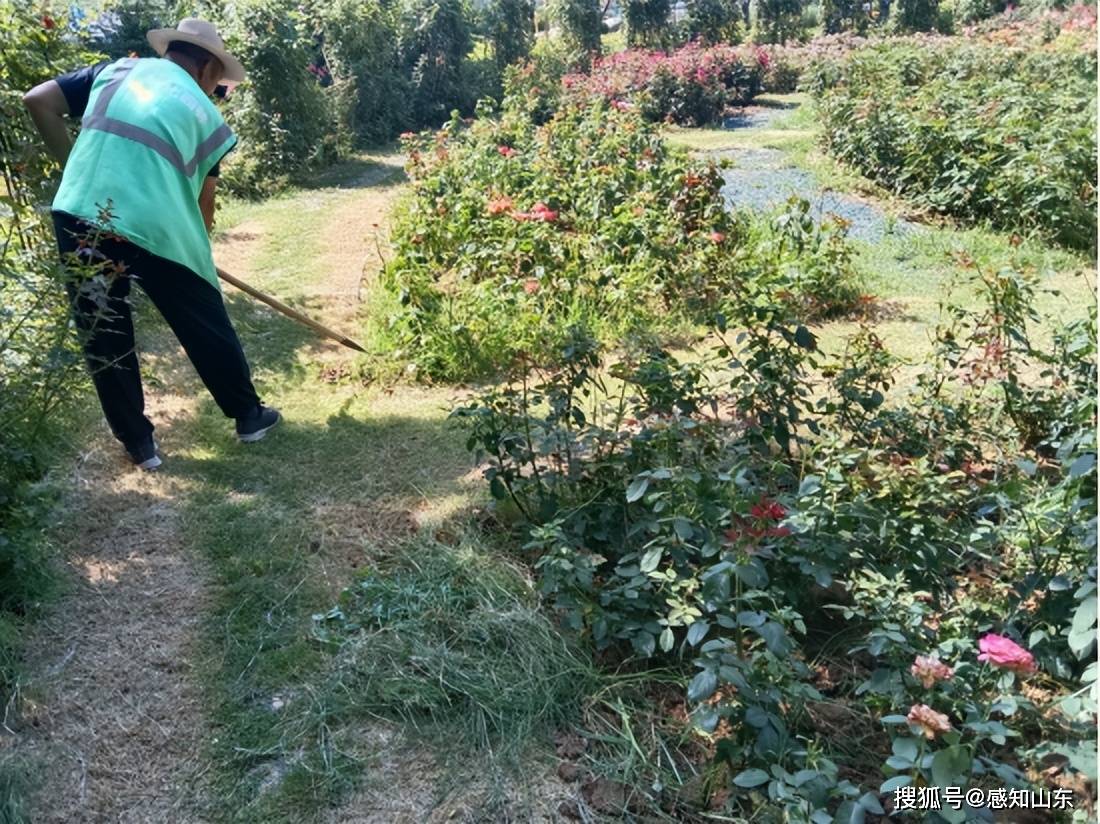 人民网：澳门资料大全正版资料2024年-一桥飞架伶仃洋，深中通道重构中山城市价值  第5张