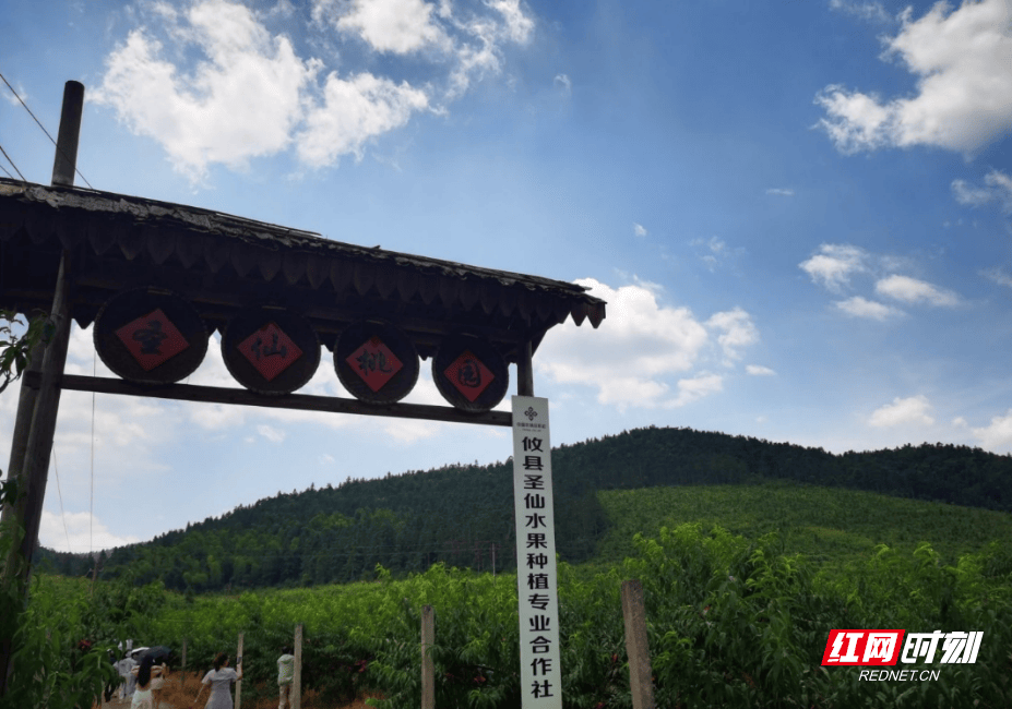 神马：新澳门内部资料精准大全-石家庄：城市更新 为幸福生活“加码”  第3张