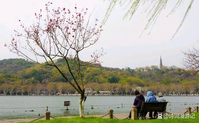 神马：澳门一码一肖一特一中2024-城市24小时 | “黑马”上位，目标千万级人口城市  第4张