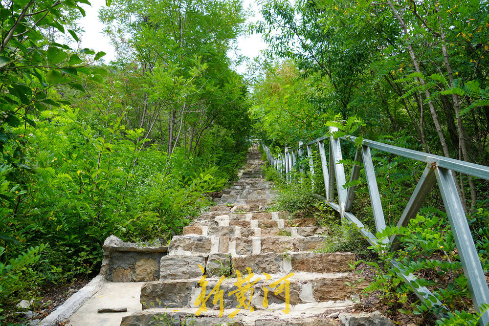 百科：澳门一码一肖100准今期指点-拒兵堡村：乡村音乐节唱响振兴“好声音”  第3张