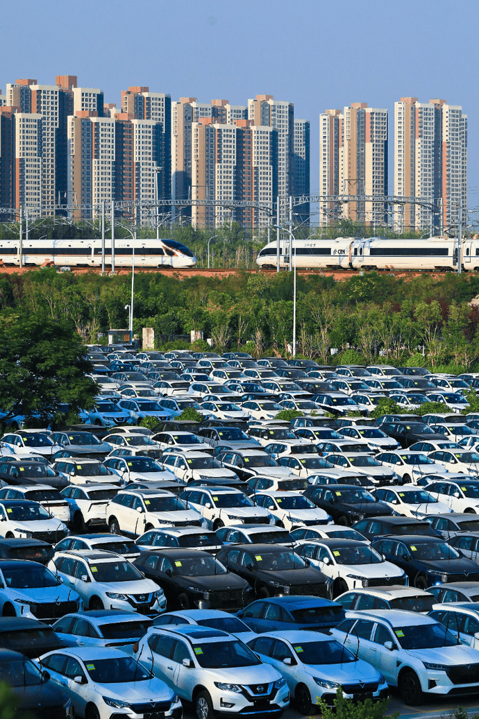 腾讯视频：澳门一码一肖一特一中资料-宁夏灵武：出门见绿、迈步赏景 下足“绣花功夫” 提升城市颜值  第4张