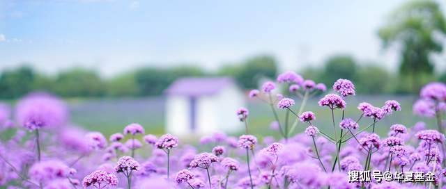 🌸澎湃新闻【澳门一码中精准一码免费中特  】-无图城市领航 夜闯城中村 全新腾势N7展示智能驾驶领域的竞争力