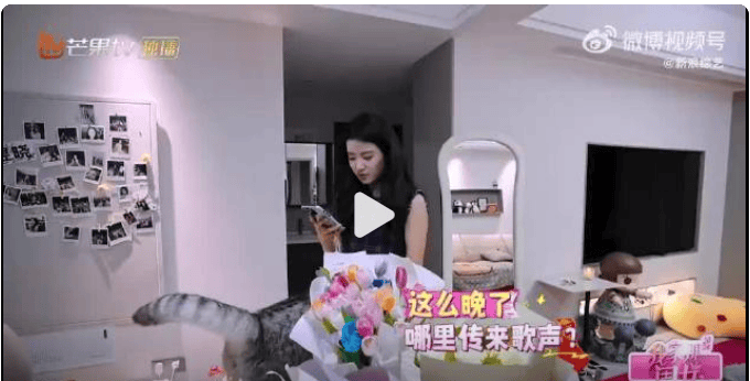 🌸贴吧【新澳门一码一肖100精确】-一场泼水游戏，把娱乐圈拜高踩低体现得淋漓尽致，何炅都要捧流量