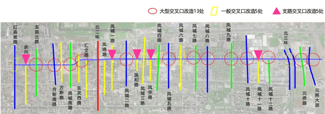 腾讯视频：澳门一码一肖一特一中资料-滨州沾化区综合行政执法局：绿化修剪正当时，为城市绿化“减负增颜”  第1张