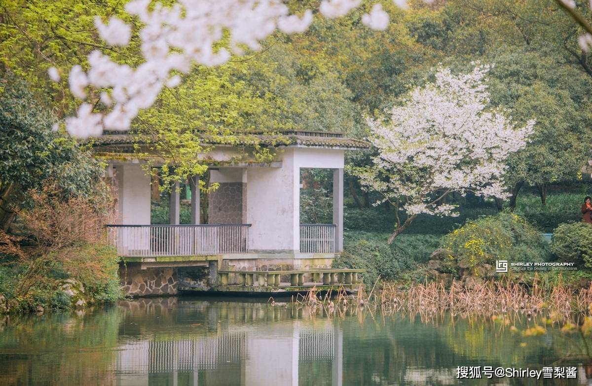 贴吧：澳门一码中精准一码免费中特-丰台草桥花朝街“城南旧市”夜市人气旺 点亮城市夜经济  第1张