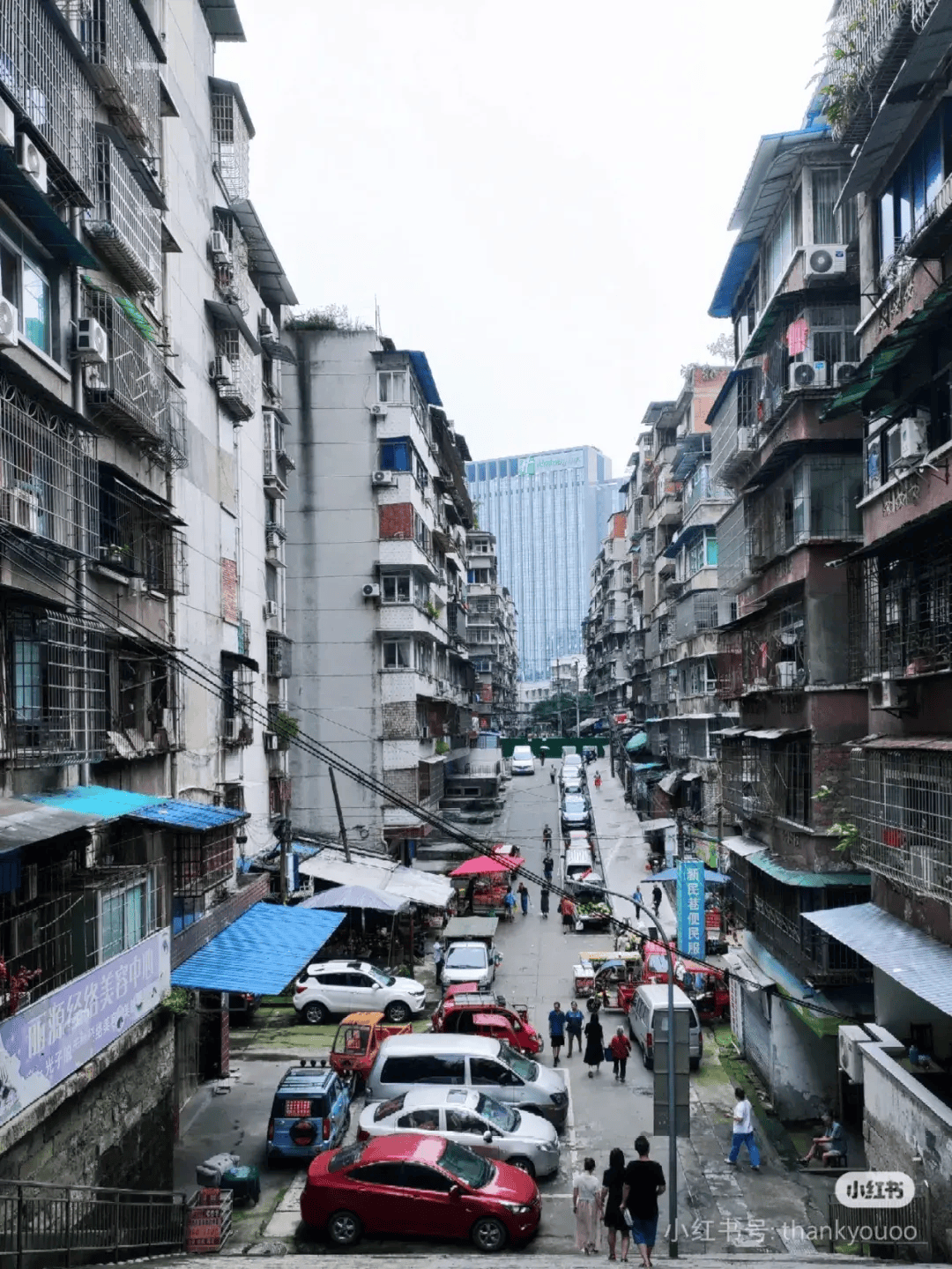 独播库：澳门一码一肖一特一中2024-横跨广东5座城市，中国最长的跨市“地铁”来了  第4张