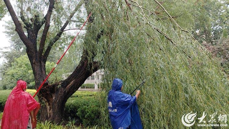 饿了么：澳门一码中精准一码资料-房产·博鳌观点｜中国经济体制改革研究会副会长樊纲：楼市下一阶段的发展潜力在于城市化  第3张