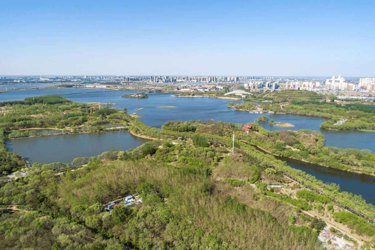 🌸京东【最准一肖一码一一子中特】-济南首店！京东电器城市旗舰店入驻泉城路  第2张