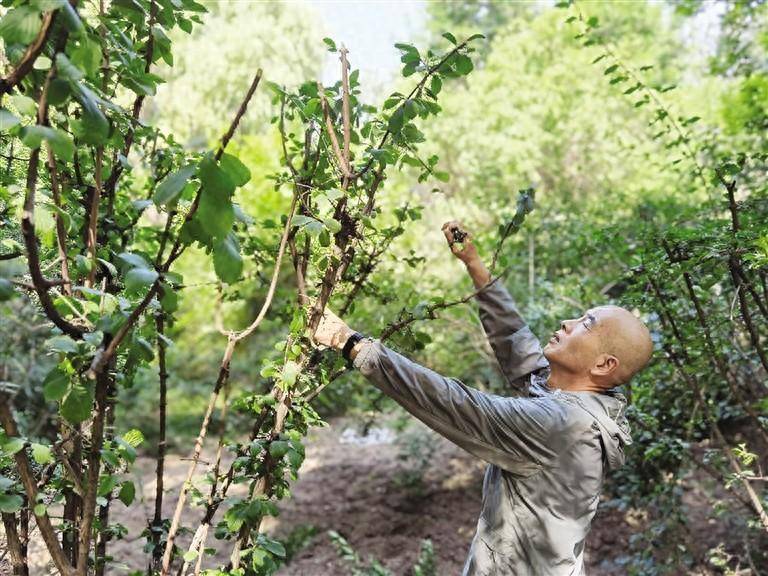 优酷视频：澳门一码一肖一特一中今天晚上开什么号码-济南城市建设集团及多家子公司荣获2024年“安全生产月”活动省、市级表彰  第3张