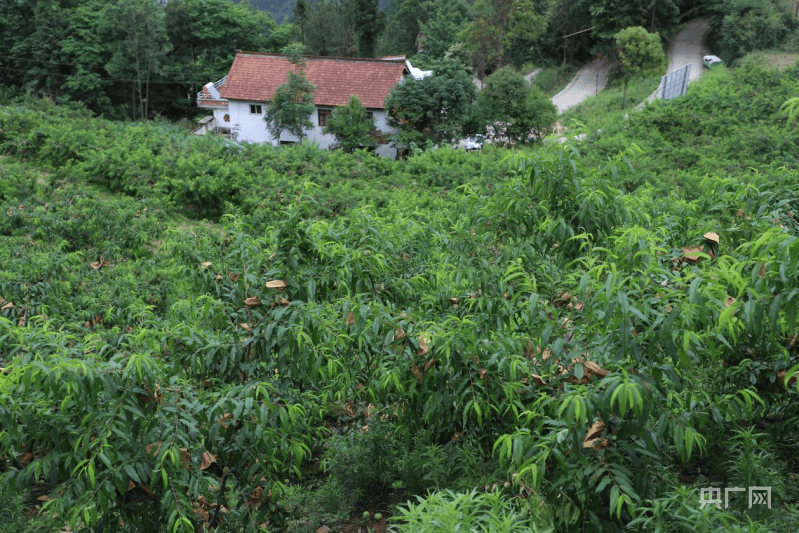 百度影音：澳门一码中精准一码资料-打卡交子之环 感受城市万千气象  第4张