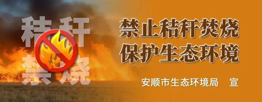 酷我音乐：香港资料大全正版资料2024年免费-30+何必北上广，一线城市程序员去长沙工作幸福感爆棚！  第2张