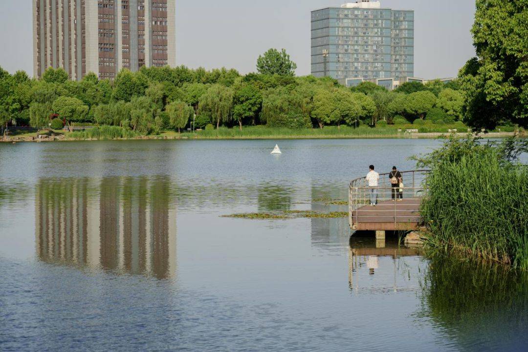 新闻：澳门一码一肖一特一中中什么号码-辽宁：城市“爱心冰柜”与“清凉接力”  第1张