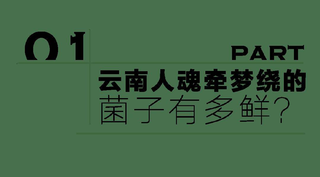 爆米花电影：澳门一码一肖一特一中2024-融创中国：上半年收入342亿元，下半年新增可售资源93%分布在一二线城市  第5张