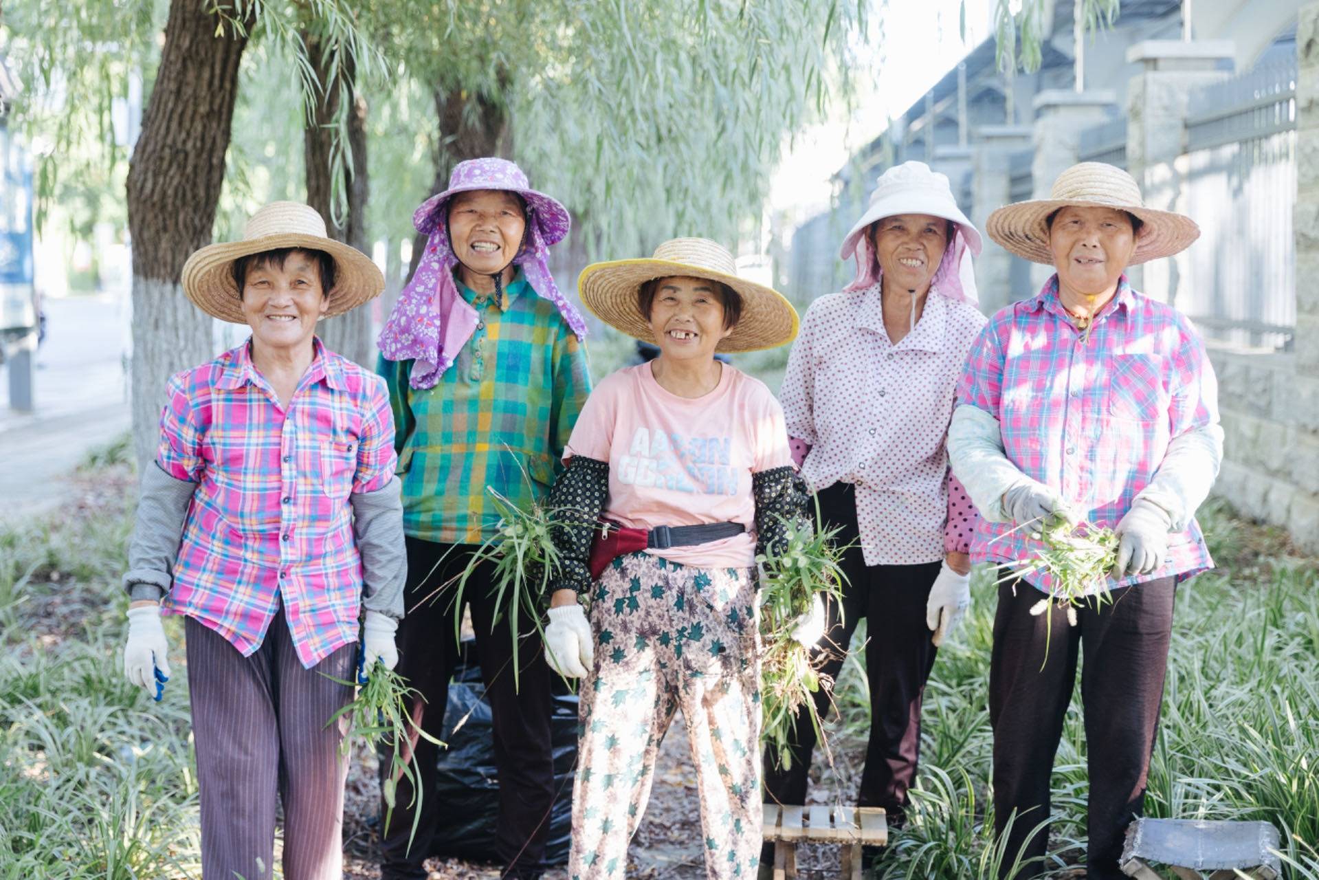 🌸优酷【管家婆一码一肖100中奖】-广西全面排查整治城市户外广告和招牌设施安全隐患  第2张