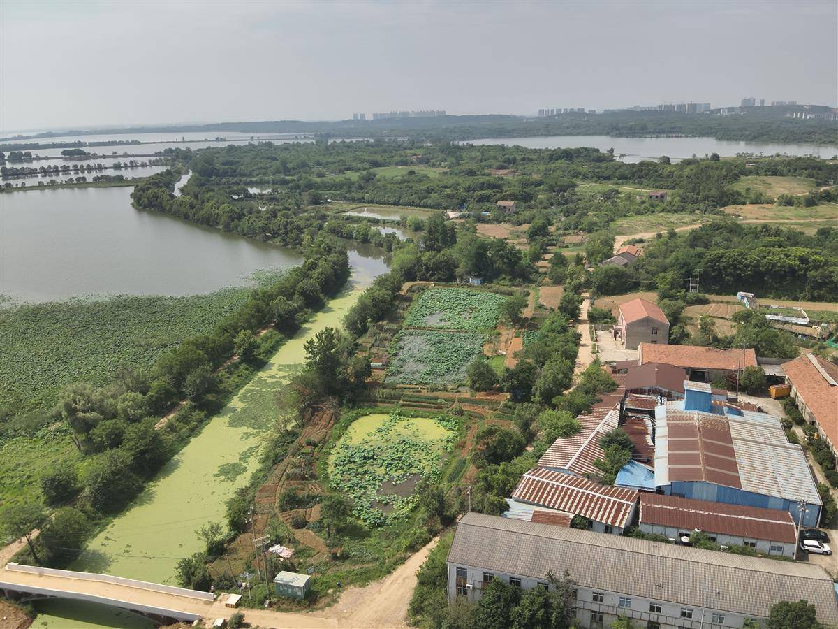 🌸小红书【澳门天天彩免费资料大全免费查询】-成都城市低空载人出行来了，今天开始验证飞行  第3张