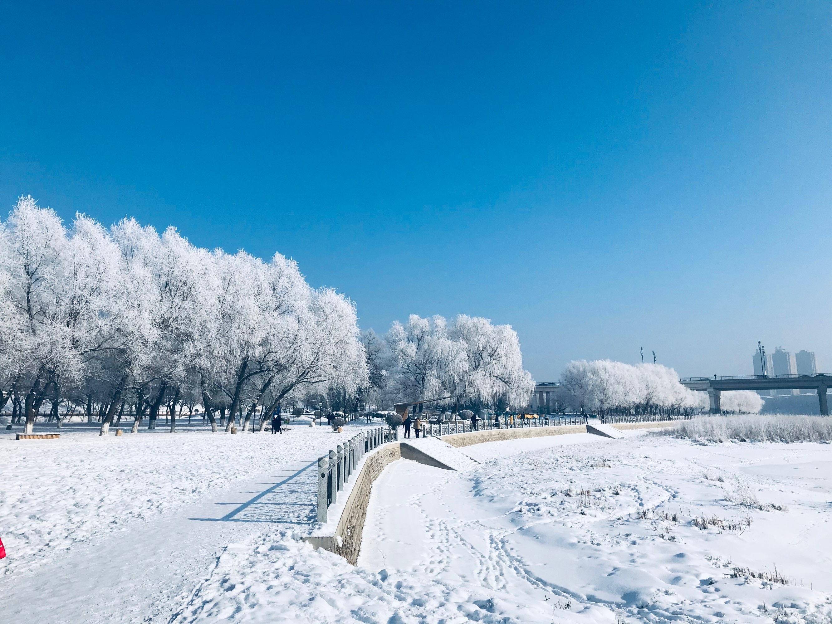 🌸京东【最准一肖一码一一子中特】-新华每日电讯关注吉林：​“冰雪热”之后，这座城市打出“文脉牌” 看冰雪旅游名城吉林市如何打造文旅长红城市  第1张