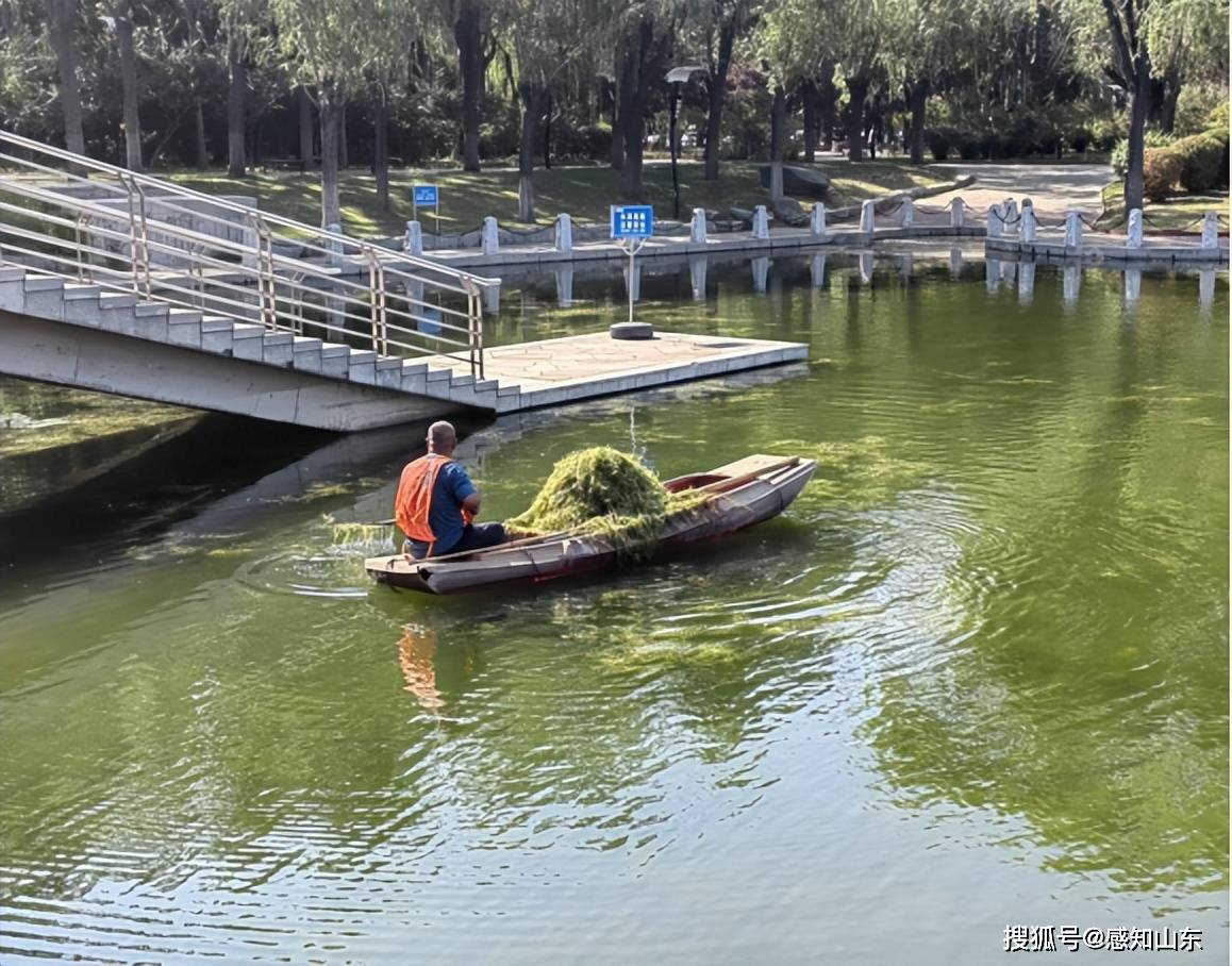 京东：新澳门内部资料精准大全-安顺市人民政府副市长汪文学：把安顺打造成一流旅游城市  第4张