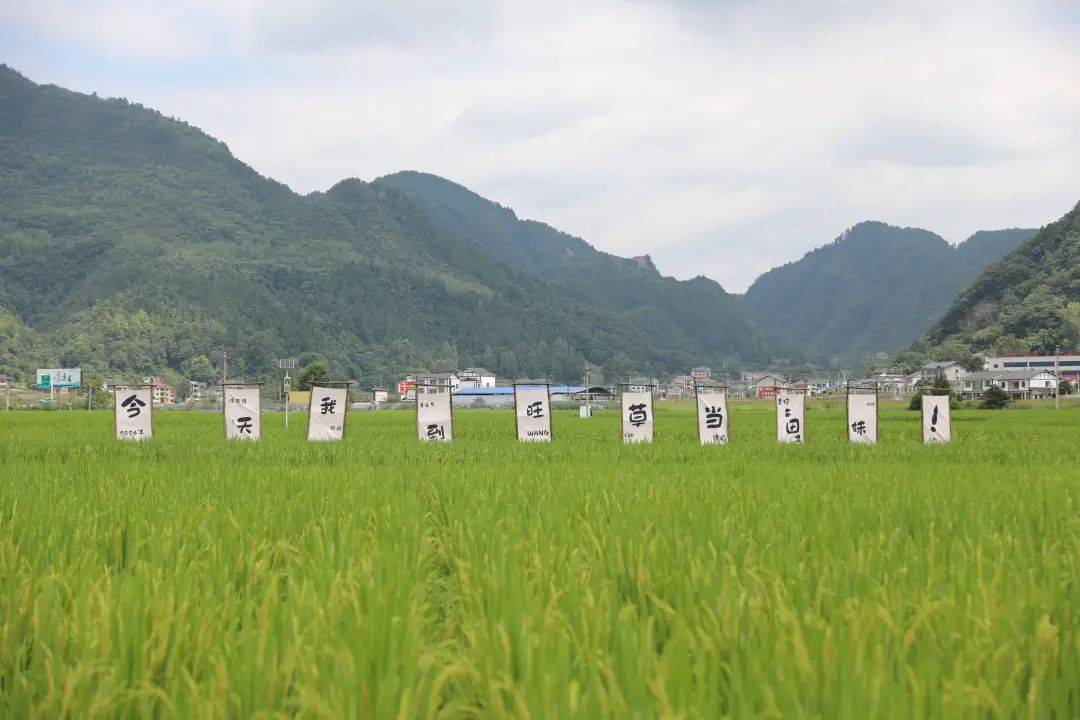 淘宝：澳门一码一肖一特一中准选今晚-没钱雇老师，德音乐学校苦寻出路