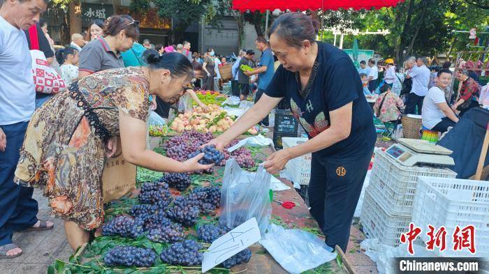 腾讯视频：新澳门内部资料精准大全2024-中国生活节奏最慢的五个城市