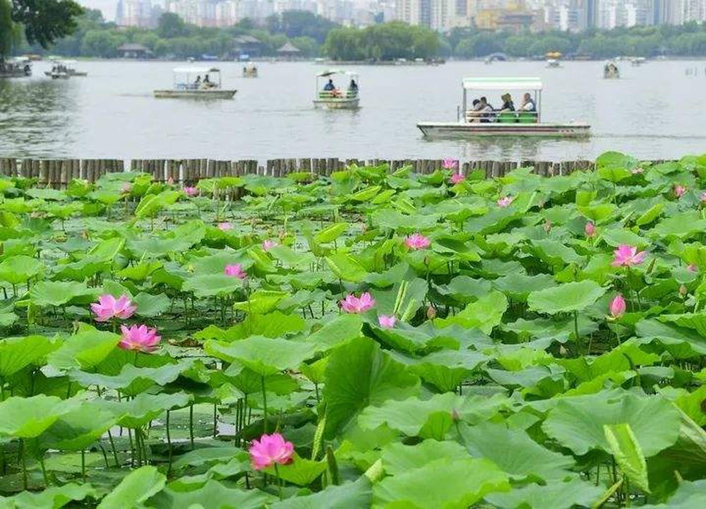 腾讯视频：澳门一码精准必中大公开-莱西市姜山镇：顺利完成农村危房改造验收工作，助力城市更新