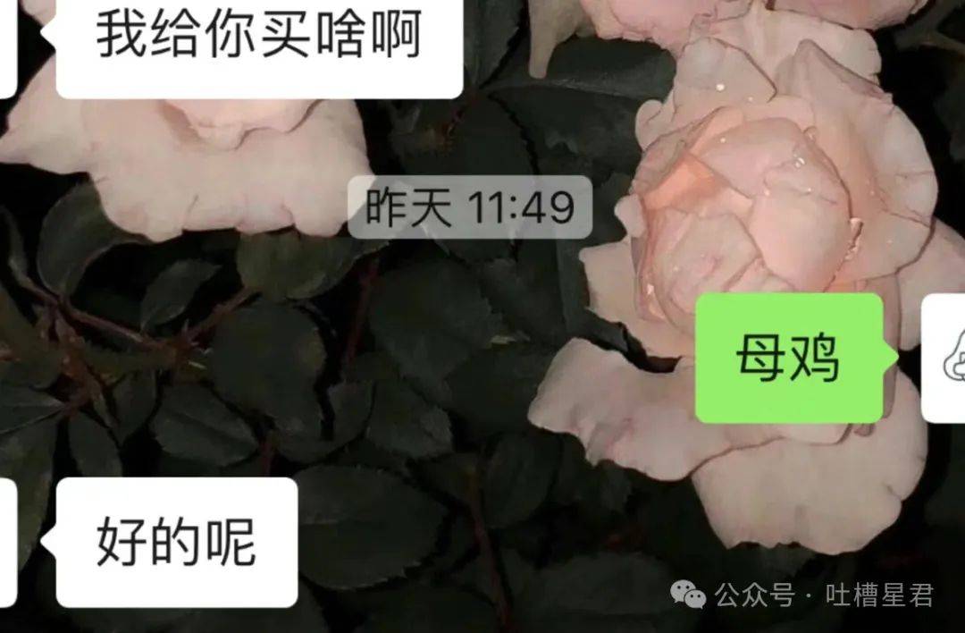 影音先锋：澳门一码一肖一特一中准选今晚-6月17日银河文体娱乐混合A净值0.8805元，下跌2.21%  第1张