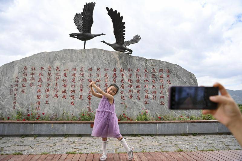 花椒直播：管家婆一肖一码100%准确-拉鲁湿地：演绎城市发展与高原生态和谐共生之美