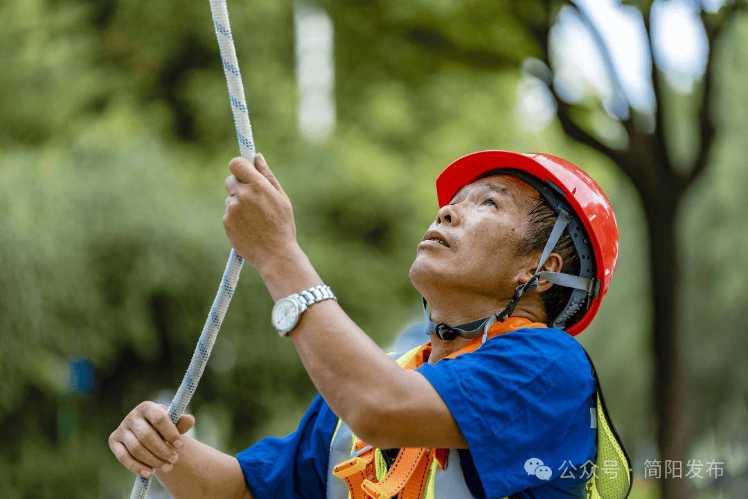 音悦台：澳门六开彩资料查询最新2024年网站-蓝天白云映照下地铁掠过城市，成为独特的风景线  第2张