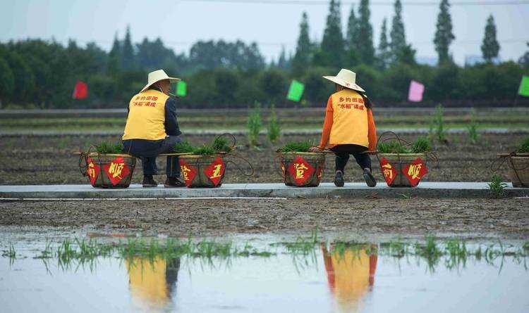 好看视频：新澳门内部资料精准大全-睦邻街区打造“人民城市最佳实践地”，美好生活人人参与→  第4张