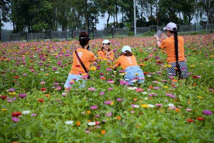 🌸小咖秀短视频【澳门一肖一码精准100王中王】-河南上蔡：释放“地摊经济”活力 让城市更有烟火气  第3张