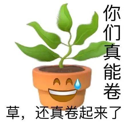 🌸谷歌【澳门管家婆一肖一码100精准】-北京大碗娱乐文化传媒有限公司：聚焦文娱产业，展现多元魅力  第5张