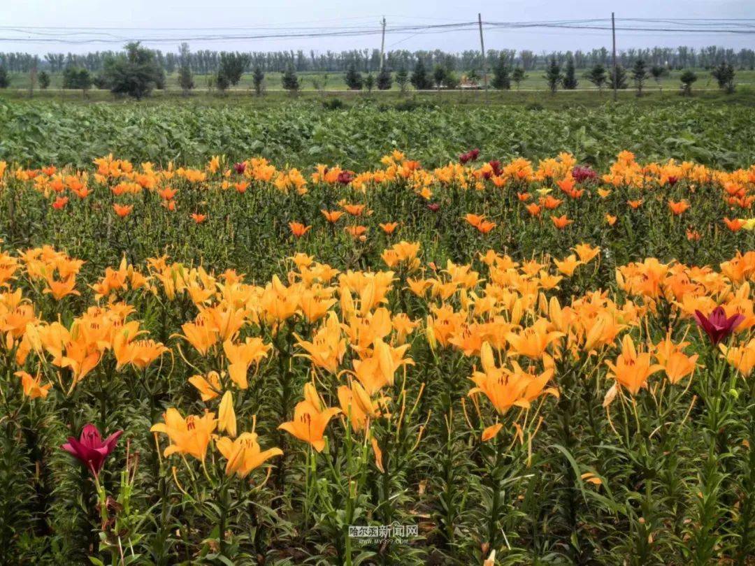 神马：新澳门内部资料精准大全-成都从“五大枢纽能力”入手 加快建设国际门户枢纽城市  第3张