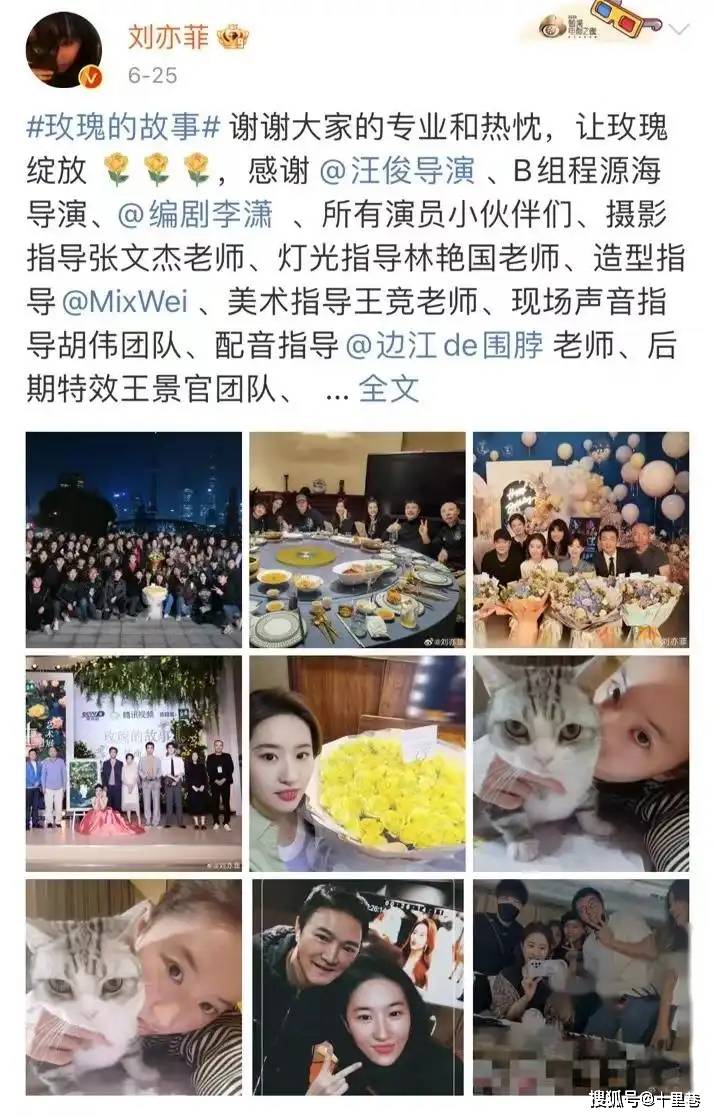 🌸猫眼电影【澳门资料大全正版资料2024年免费】-想追星的左转娱乐圈，你家哥哥需要你，别来祸害运动员了  第1张