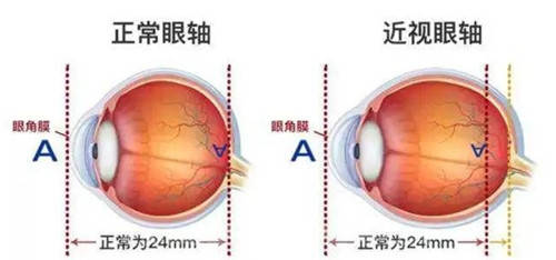 🌸好看视频【2024新奥历史开奖记录香港】-城市巡礼｜苏州：吴风雅韵最江南