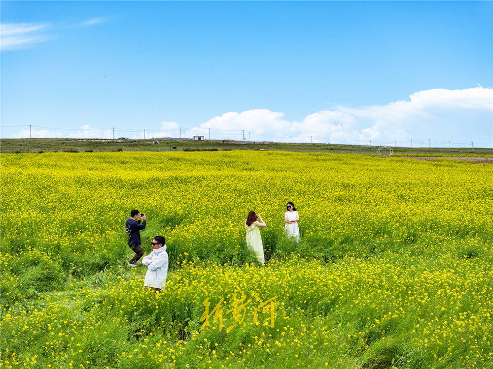 🌸新浪电影【2024澳门天天开好彩大全】-音乐消费市场繁荣，四川省首届原创歌曲大赛激发创新活力丨文化观察