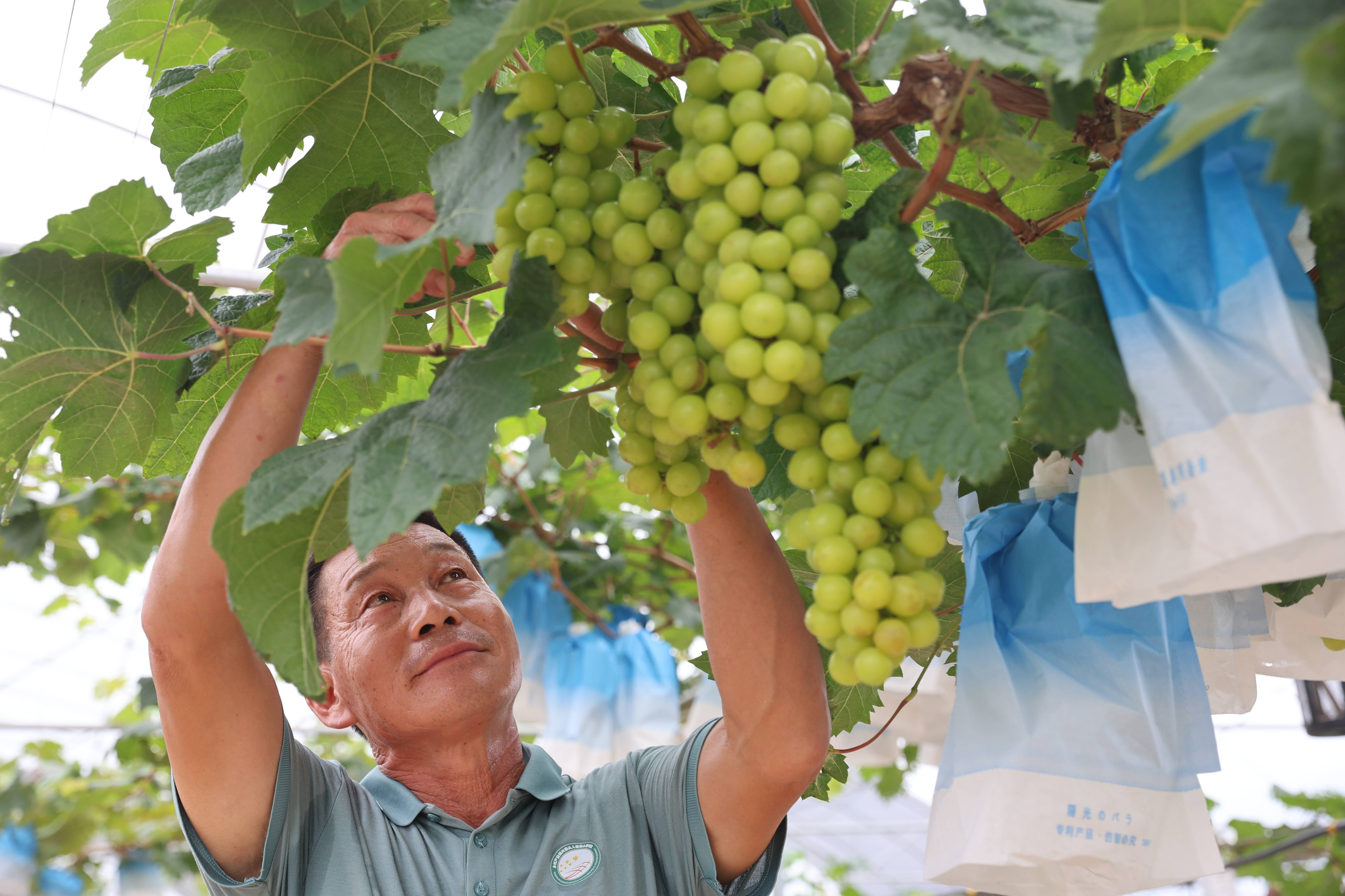 🌸豆瓣电影【2023管家婆资料正版大全澳门】-《中国人工智能城市竞争力排行研究报告》重磅发布：北京、深圳、上海多项指标全国领先  第5张