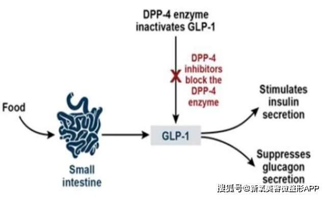 🌸花椒直播【2024新澳门天天开好彩大全】-他们原来是夫妻！娱乐圈最低调的4对明星夫妻，你认识吗？  第3张