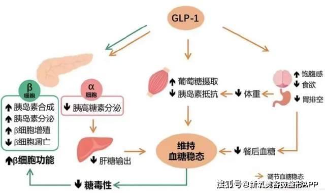 头条：新澳门内部资料精准大全-祖龙娱乐（09990.HK）5月30日收盘跌4.46%