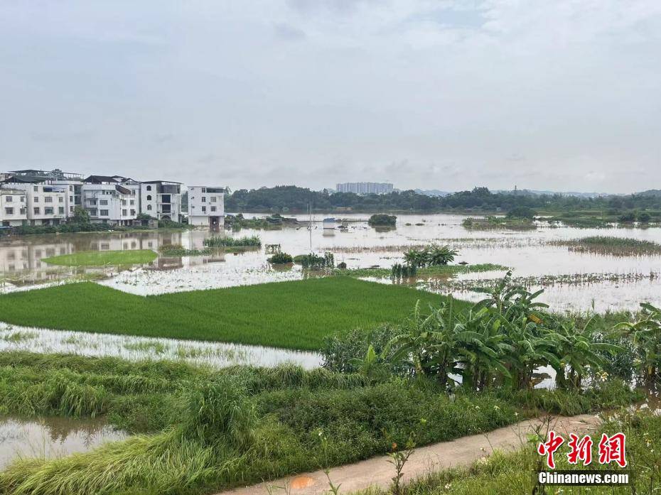 高德：澳门一码一肖100准确率的信息-就算这座城市被大雨颠倒 我会给你怀抱……