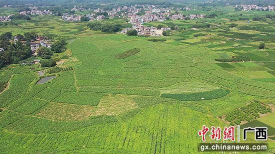 🌸土豆视频【494949澳门今晚开什么】-一线城市频现项目股权转让 大宗物业收购时机到了？