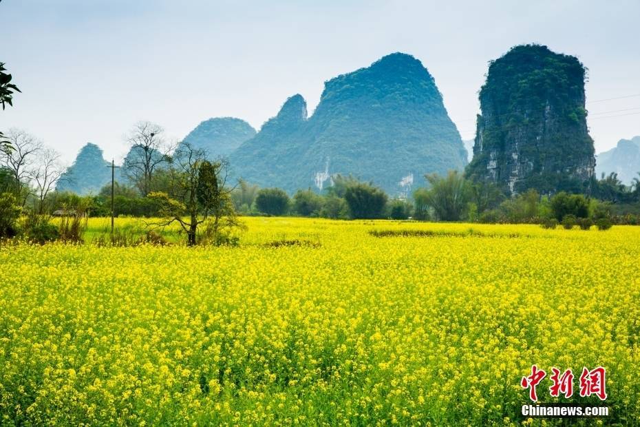 优酷视频：澳门一码一肖一特一中今天晚上开什么号码-一线城市悉数跟进517新政！地产复苏节奏或加快？  第5张