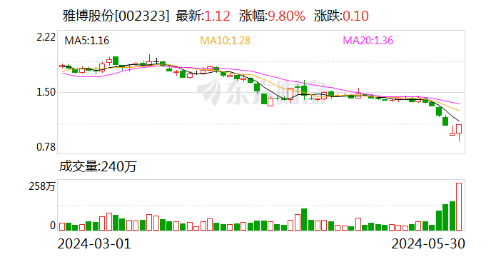 雅博股份：控股股东拟增持5000万元-1亿元公司股份  第1张