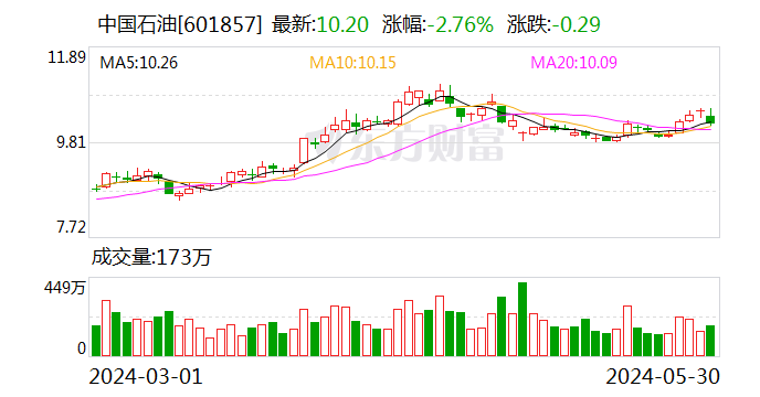 普华永道 又丢大单！中国石油公开宣布取消续聘  第2张