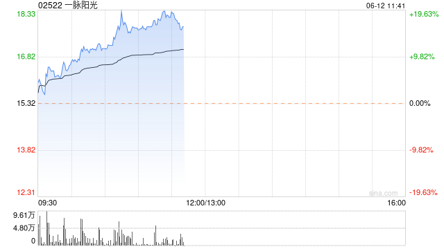 一脉阳光早盘持续上涨逾10% 公开发售一阶段获336.33倍认购  第1张