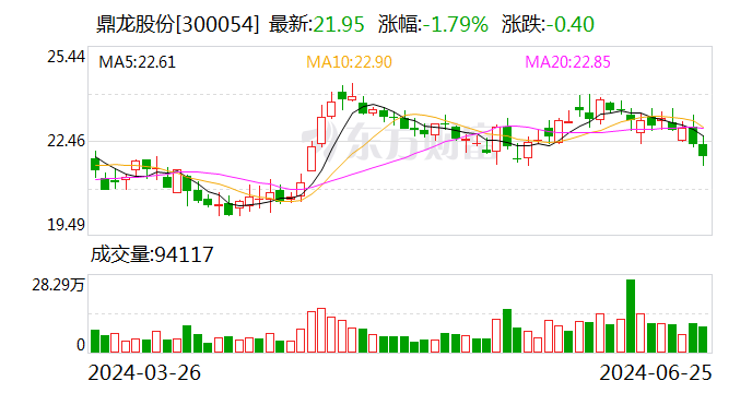 鼎龙股份：2024年上半年净利同比预增110%-130%  第1张