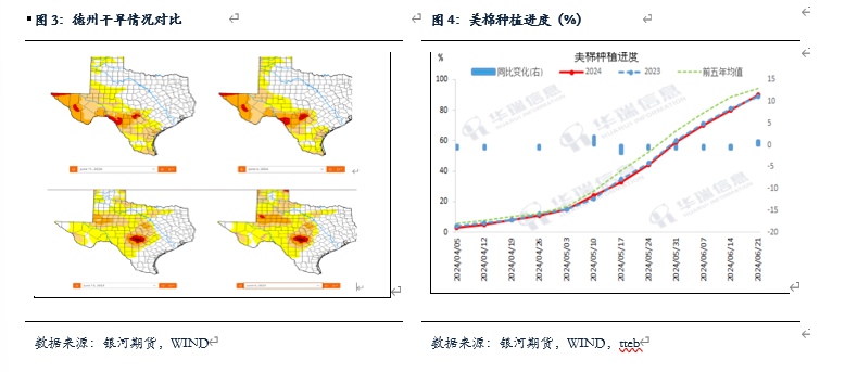 【棉花、棉纱半年报】水涨船欲高 棉花或可期