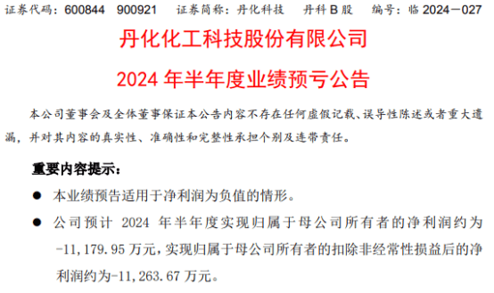 丹化科技2024年上半年预计亏损1.12亿 产品价格处于低位