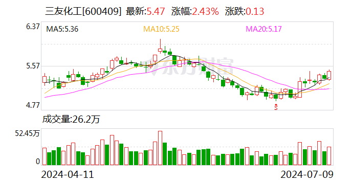 三友化工：2024年上半年净利同比预增117%