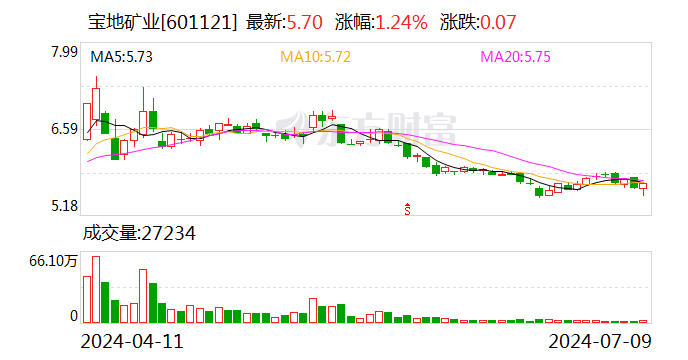 宝地矿业：预计2024年上半年净利同比增长46.02%-57.94%  第1张